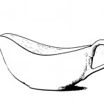 Saucière classique 22 cl